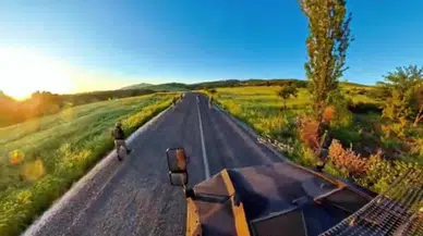 7,5 milyon kök kenevir ele geçirildi