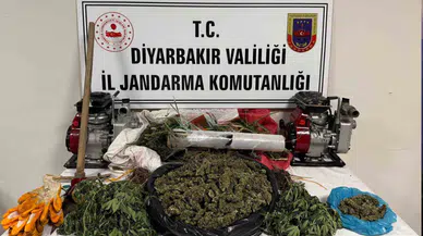 Hazro’da kenevir operasyonu: 3 şüpheli gözaltına alındı