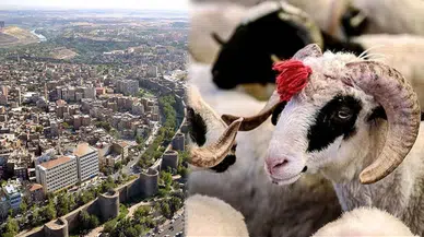 Bayramda Diyarbakır’ı nasıl bir hava bekliyor?