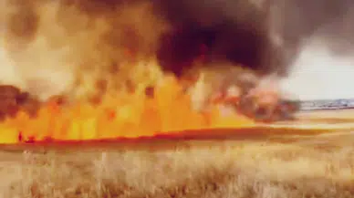 Çınar’da buğday tarlasında yangın: 30 dönüm kül oldu