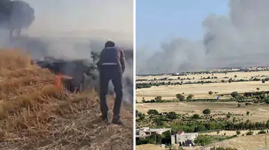 Dicle ve Hani arasında orman ve buğday tarlası yangını
