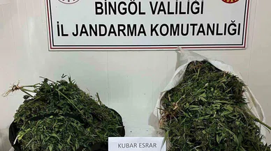Bingöl’de bagajda yaklaşık 17 kilo esrar ele geçirildi