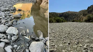 Diyarbakır Dicle’de 30 Ağustos Zafer Bayramı kutlaması
