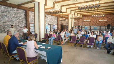 Kulp çayında HES tahribatı balıklar ölüyor