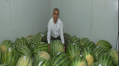 Diyarbakır’ın dev karpuzları yarışmaya hazırlanıyor