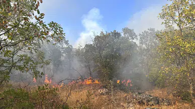 Diyarbakır’da korkutan yangın: Havadan ve karadan müdahale