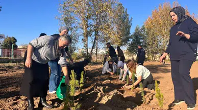 Diyarbakır’da şiddet yüzünden ölen kadınlar için hatıra ormanı oluşturuldu