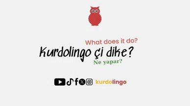 Kürtçe öğrenme platformu Kurdolingo yayında