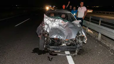 Diyarbakır Siverek yoluna aniden çıkan eşek kazaya neden oldu: Yaralılar var