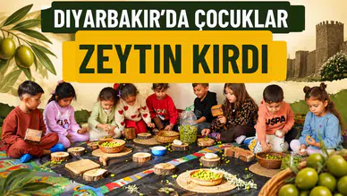 Diyarbakır'da çocuklar zeytin kırdı: Geleneksel üretimi yakından tanıdılar