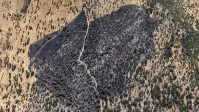 Kulp'taki İnkaya Mahallesi'nde korkutan yangın 50 dönümlük alan küle döndü