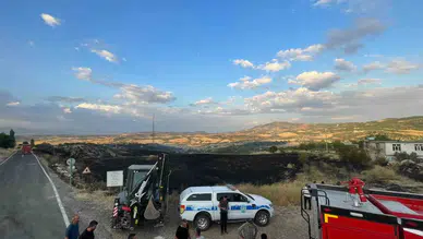 Lice'de 60 hektarlık alan alevlere teslim oldu Ziyaret Mahallesi'ndeki yangın söndürüldü