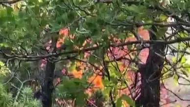 Dicle ve Hani arasındaki dağlık bölgede yangın alarmı Ekipler zorlu arazide mücadele ediyor