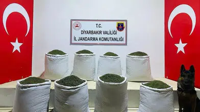 Lice'de uyuşturucu operasyonu!
