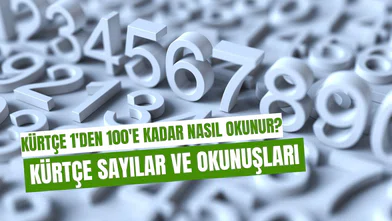Kürtçe Sayılar: Nasıl Okunur, Nasıl Yazılır?