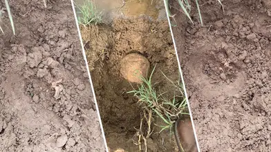 Lice'de bulunan kemikler kazıda parçalandı