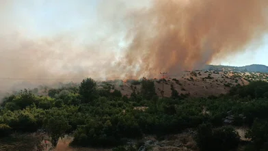 Diyarbakır’ın Dicle ilçesinde örtü yangını çıktı