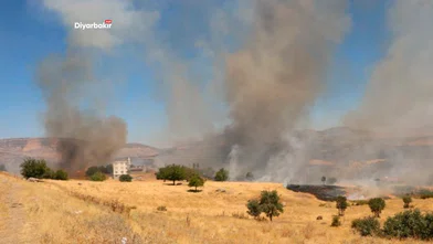 Lice’de yangın yeniden alevlendi