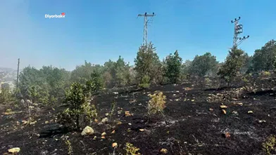 Diyarbakır Lice’de örtü yangını kontrol altına alındı