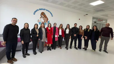 Türkiye'nin ilk "Anne Dostu Hastanesi" Diyarbakır'da: Çermik Devlet Hastanesi'nin gururu