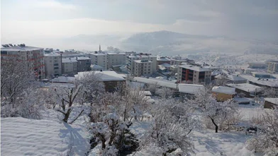 Kulp'ta kartpostallık kar tablosu: Her yer bembeyaz oldu