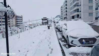 Kulp'ta kar çileye dönüştü: Vatandaşın hayatı zorlaştı