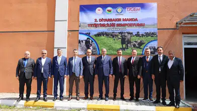 Diyarbakır'da manda yetiştiriciliğinde yeni vizyon: Yol haritası çizildi