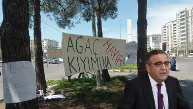 Diyarbakır'da ağaç sökümüne tepki gösteren vatandaşlara Tanrıkulu'ndan destek