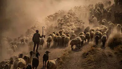Diyarbakır merkezli FOTONO21 Hevsel Kupası'nda kazanan fotoğraflar belli oldu