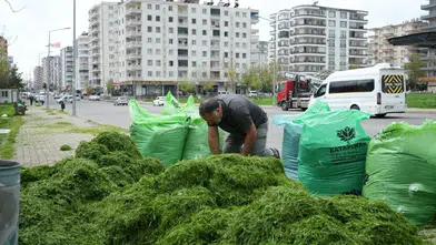 Diyarbakır'da çevre dostu uygulama: Park çimleri hayvan yemi oluyor