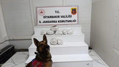 Diyarbakır’da zehir tacirlerine geçit yok: 150 kişi yakalandı, 26 kilo esrar ele geçirildi