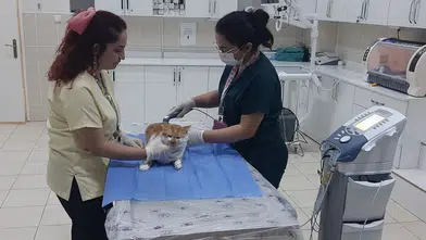Dicle Üniversitesi Hayvan Hastanesi insan standartlarını yakaladı: Ne ararsanız var