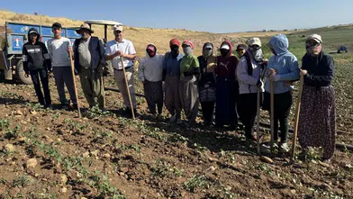Diyarbakır'da tarımla uğraşan binlerce kişiyi ilgilendiriyor: Yeni ücret belli oldu