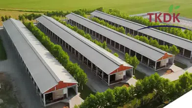 Diyarbakır'a tarım ve hayvancılıkta 60 milyon TL'lik proje: Yarısından fazlasına hibe desteği