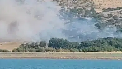Silvan'ın iki köyünde korkutan ağaçlık yangını İtfaiye ve halkın çabasıyla söndürüldü