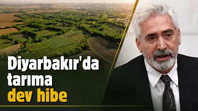 Diyarbakır'da tarıma dev destek: 248,3 milyon TL'lik hibe onaylandı