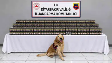 Diyarbakır genelinde jandarmadan büyük kaçakçılık operasyonu: 29 şüpheli yakalandı