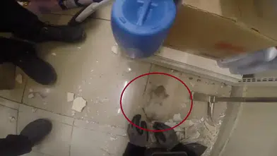Diyarbakır Dicle Üniversitesi'nde demir profile sıkışan yavru kedi kurtarıldı