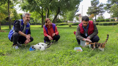 Diyarbakır'da sokak hayvanları için seferberlik: Yaşam haklarına sahip çıkılıyor