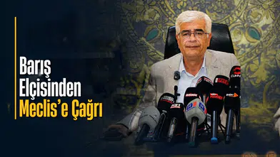 Barış elçisinden Meclis'e çağrı: "Süreç günübirlik düşünülmemeli"
