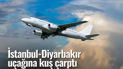 İstanbul-Diyarbakır uçağına kuş çarptı: Ankara'ya iniş yapıldı