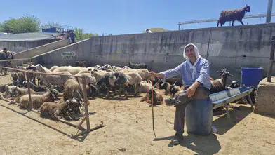 Diyarbakır’da Canlı Hayvan Borsası’nda bayram yoğunluğu, bölgede süreç dikkatle izleniyor