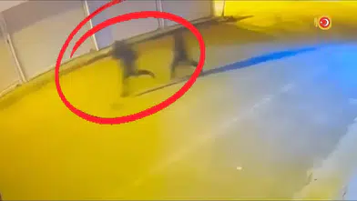 Diyarbakır'da 16 farklı suça karışan organize yapıya KOM baskını 15 kişi cezaevinde