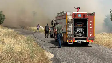 Diyarbakır Eğil'de buğday hasadı öncesi felaket Yüzlerce dönüm arazi alevlere teslim oldu