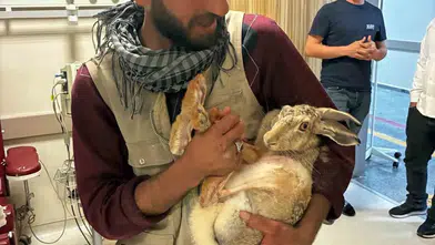 Kocaköy'de örnek dayanışma Yaralı gebe tavşanı hastane bahçesinde iyileştirdiler