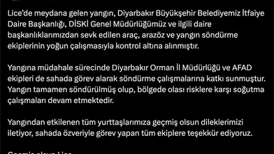 Diyarbakır Lice'deki örtü yangını ekiplerin yoğun müdahalesiyle söndürüldü Soğutma sürüyor