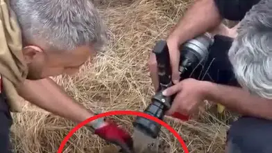 Lice'de 450 dönümlük alan küle döndü İtfaiye ekipleri alevlerin içinden kaplumbağayı kurtardı