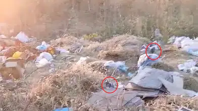 Diyarbakır Kayapınar'da çöp yığınları tehlike saçıyor: Mezopotamya Bulvarı'nda fare istilası