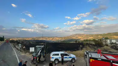 Lice'de 60 hektarlık alan alevlere teslim oldu Ziyaret Mahallesi'ndeki yangın söndürüldü