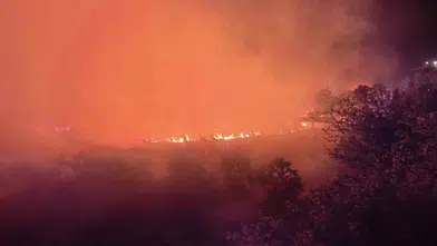 Lice'de ormanlık alanda gece vakti çıkan yangın tehdidi büyüyor Evlere yaklaşıyor